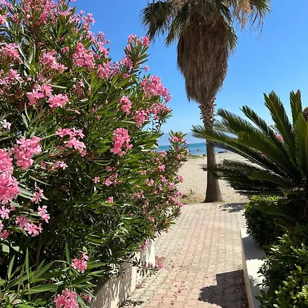 公寓 Panorama Vlorë